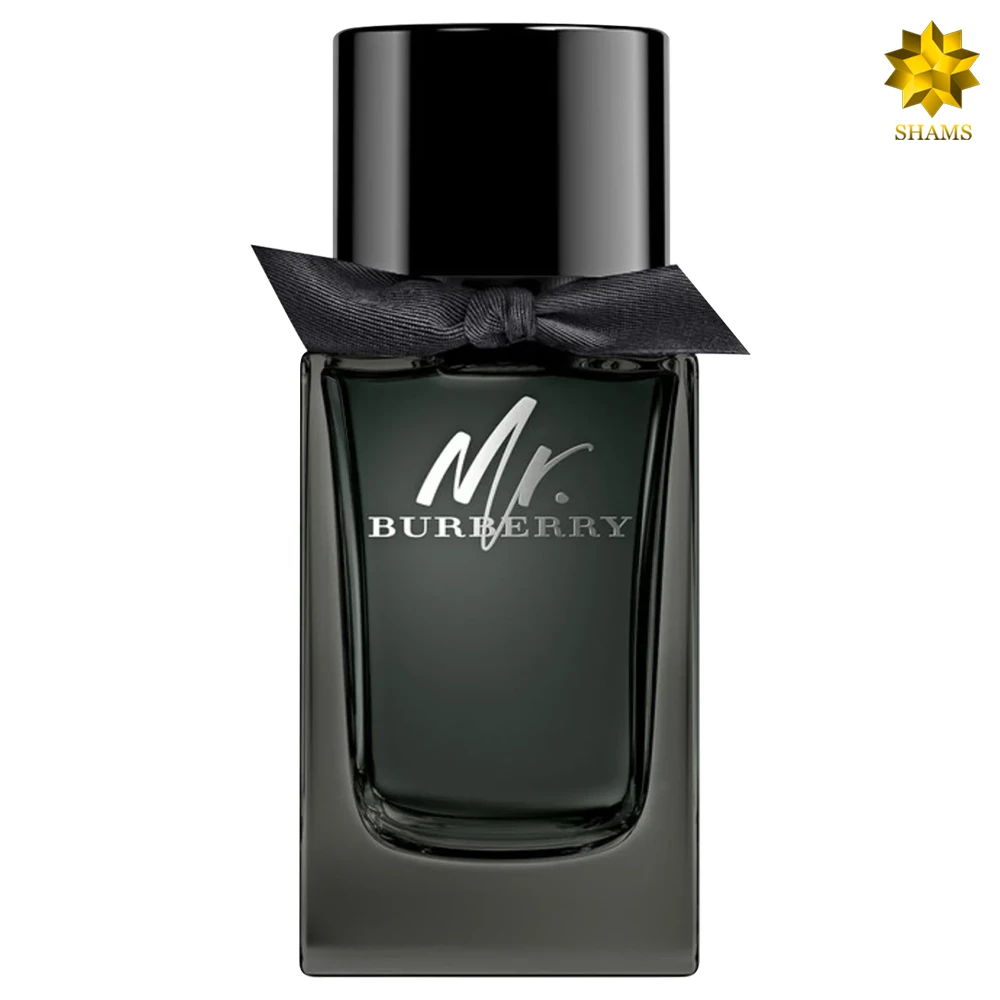 Burberry Mr. Burberry Edp 100ml کد 3004